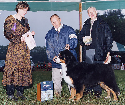 Windy is also training for obedience titles!