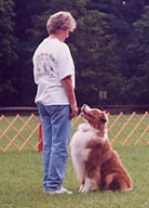 Ryder has 2 legs towards his UD, is agility titled and pointed in the breed ring, so much for you can't do it all...