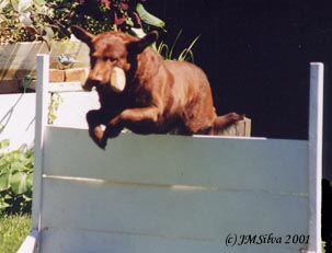 Turner retrieving over the high jump.