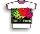 FRUIT OF THE LOOM