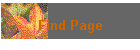 Find Page