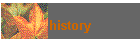 history