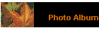 Photo Album