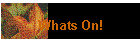Whats On!