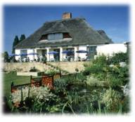 garden centre, gardening -  Webbs of Wychbold, Midlands Uk