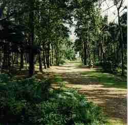 Lickey Hills