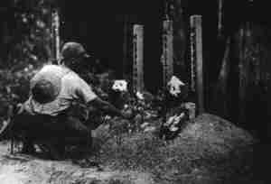Honor to dead Japanese soldiers