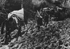 Alpine troops of Division Julia