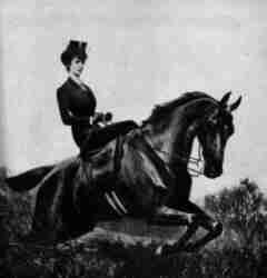 The Austrian Empress Elisabeth, known as Sissi