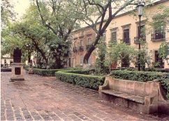 /user/morelia1.jpg