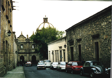 /user/morelia30.JPG