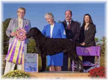 Best of Breed, Tenor, Flairfor Spring Action