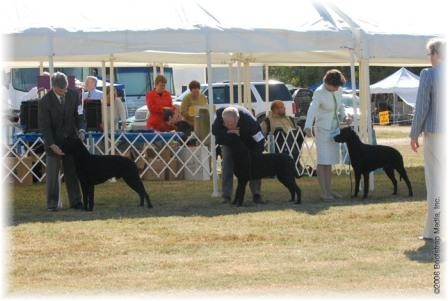 Working Retriever Class