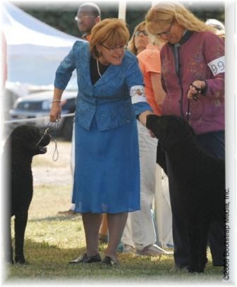 A good sport, Trudy gives encouragement to Pat and Finn,Fairway's Softmaple Finnheir.