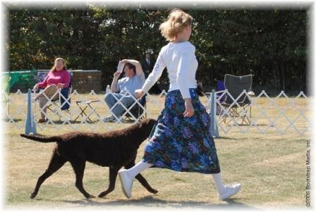 Kathie and Java