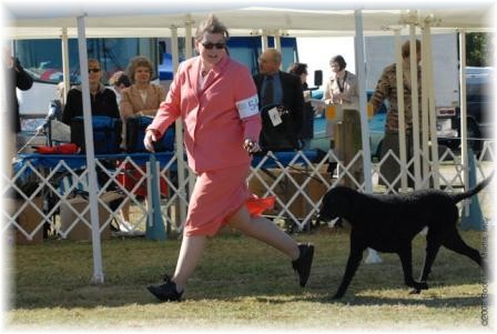 Mary Kay and Destiny, Riverwatch Destiny's Dream