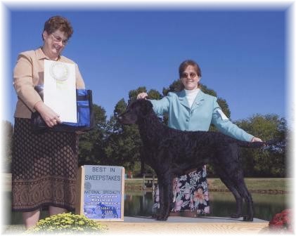 Best in Sweeps, Gabby, Softmaple's Dark Star