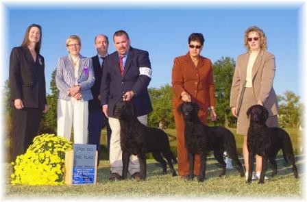 Luke & Kids, Levi and Dolce, in Stud Dog Class
