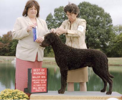 Two days of companion shows followed the Specialty-Mikey was WD on Sunday.  Other winners of the weekend included Tenor, Curlew, Delta, Gabby, Lucy and MacDuff.