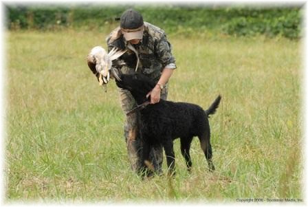 Maryland, Kathy with Al, Kurly Kreek Alberta Clipper, 8 months old