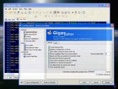  Gigas Editor screenshot 
