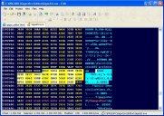  Gigas Editor screenshot 