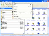  Gigas Explorer screenshot 
