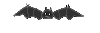 Bat