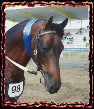 Heza Bruce WINNER