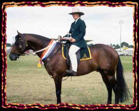 Heza Bruce Champion Ridden