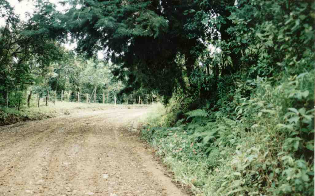 Valle del Cauca - Colombia
