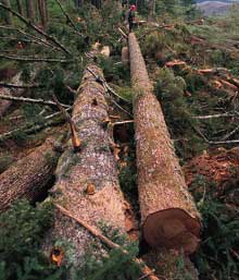 log
