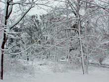 snow