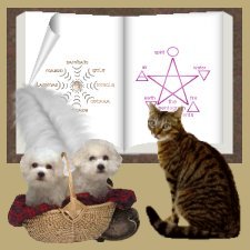 Book of Shadows