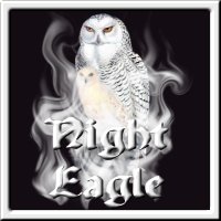 Night  
    Eagle