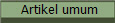  Artikel umum