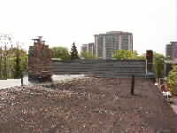 Flat Roof New