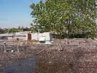 FLAT ROOF INSPECTION & WATERPROOFING