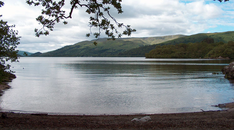 The Midges from hell live here