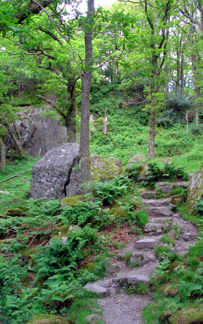 Path what path?