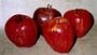 la vasca manzana roja.jpg