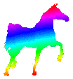 The literate horse