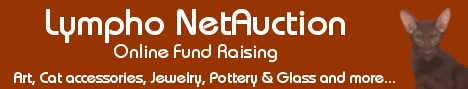 Lymphoma Auction Helping Felines
