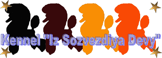 kennel Iz Sozvezdiya Devy