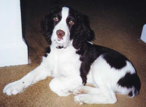 Wasn't she cute?