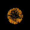 firework