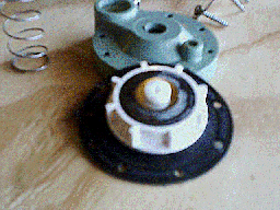 Bottom View Of Diaphragm