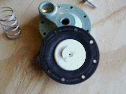Top View Of Diaphragm