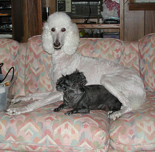Don't we look lovely?