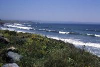 Cambria beach 3